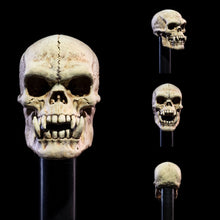 Undead Heads Pack: Mythic Legions All Stars 6 Action Figure Accessories