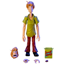 Scooby Doo - Shaggy 6" Action Figure