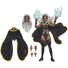 Marvel Legends X-Men Storm & Thunderbird 6-inch Action Figure Set