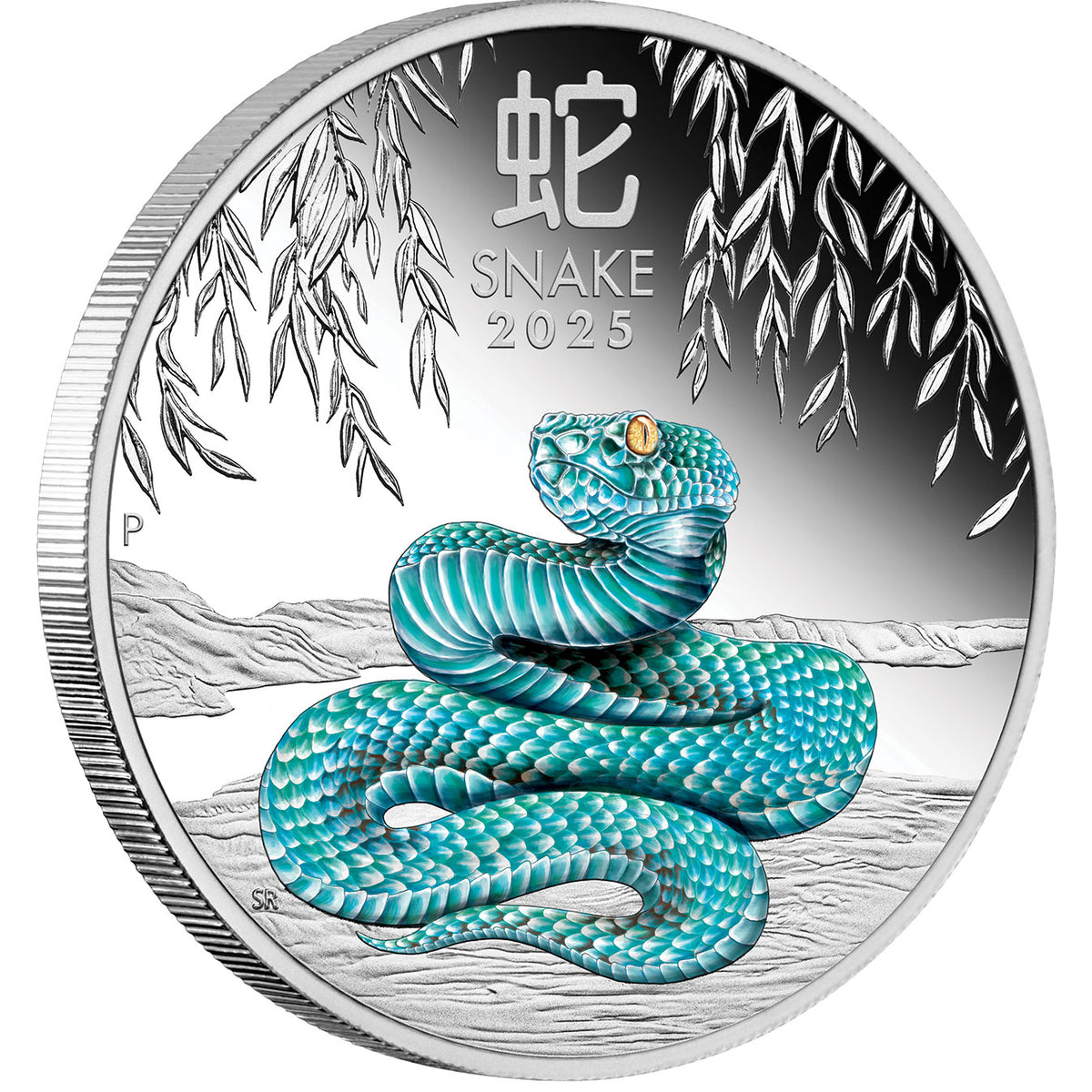 2025 $1 Year of the Snake Colour 1oz Silver Proof Coin – Melbourne ...