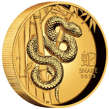 2024 $100 Year of the Snake High Relief 1oz Gold Proof Coin