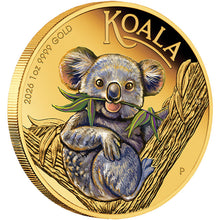 2026 $100 Koala Coloured 1oz Gold Proof Coin