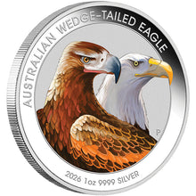 2026 $1 Wedge-tailed Eagle Coloured 1oz Silver Coin in Card