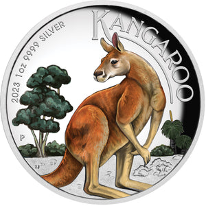 2023 $1 Kangaroo Coloured High Relief 1oz Silver Coin