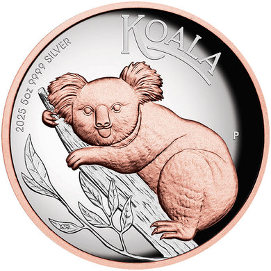 2025 $8 Koala Gilded High Relief 5oz Silver Proof Coin