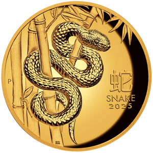 2024 $100 Year of the Snake High Relief 1oz Gold Proof Coin