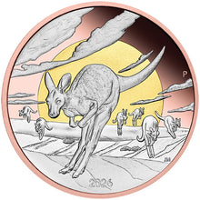 2026 $8 Wonders of Australia - Outback Kangaroo Gilded 5oz Silver Proof Coin