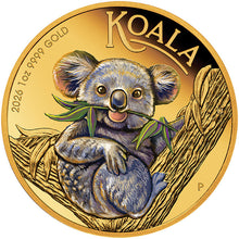 2026 $100 Koala Coloured 1oz Gold Proof Coin