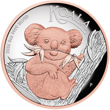 2026 $8 Koala High Relief Gilded 5oz Silver Proof Coin