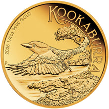 2026 $25 Kookaburra 1/4oz Gold Proof Coin