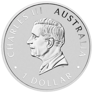 2024 $1 Wombat 1oz Silver Coloured Coin in Card