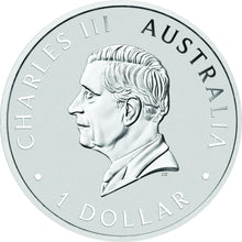 2025 $ Brumby Coloured 1oz Silver Coin