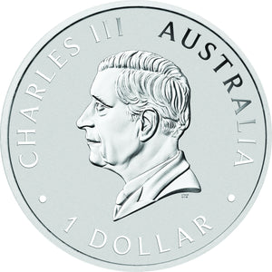 2025 $ Brumby Coloured 1oz Silver Coin