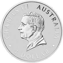 2025 $1 Brisbane Money Expo Koala Coloured 1oz Silver Coin in Card