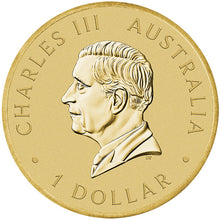2026 $1 ANZAC Day Coin In Card