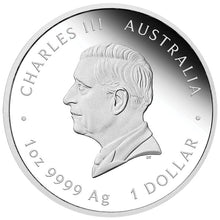 2026 $1 Year of the Horse Coloured 1oz Silver Proof Coin