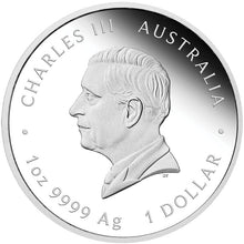 2026 $1 Year of the Horse 1oz Silver Proof Coin