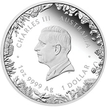 2026 $1 Wonder of Australia - The Outback 1oz Silver Proof Coin