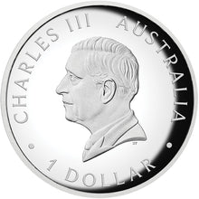 2026 $1  Kangaroo Coloured High Relief 1oz Silver Proof Coin