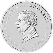 2026 $1 Melbourne Money Expo Year of the Horse 1oz Silver BU