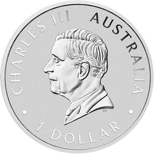 2026 $1 Brisbane Money Expo Koala Coloured 1oz Silver Coin