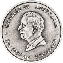 2026 $2 Turtle Yaunati 2oz Silver Coin