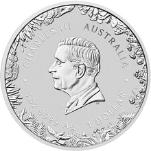 2026 $1 Wonders of Australia - The Outback Coloured 1oz Silver  Coin in Card