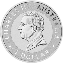 2026 $1 Sundowner Red Kangaroo Coloured 1oz Silver Coin in Card