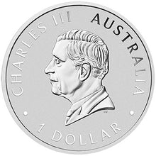 2025 $1 ANA Coin Show Koala w/ Bison Privy 1oz Silver Coin