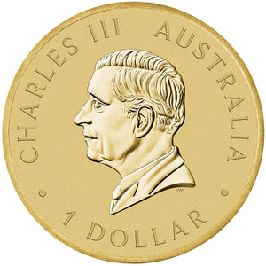 2025 $1 Citizenship Coin