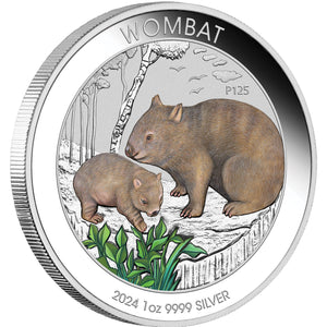 2024 $1 Wombat 1oz Silver Coloured Coin in Card