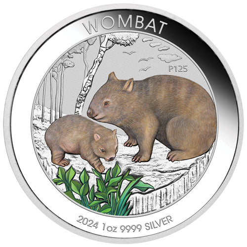 2024 $1 Wombat 1oz Silver Coloured Coin in Card