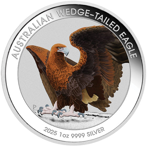 2025 $1 Wedge Tailed Eagle Colour 1oz Silver Coin in Card