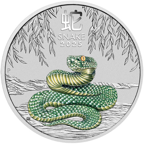 2025 $1 Melbourne Money Expo Year of the Snake 1oz Silver Coin in Card