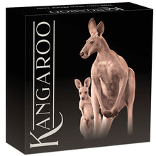 2026 $25 Kangaroo 1/4oz Gold Proof Coin