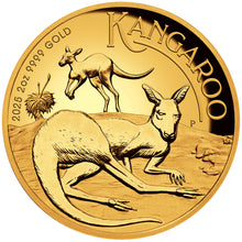 2025 $200 Kangaroo High Relief 2oz Gold Proof Coin