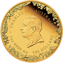 2026 $100 Wonders of Australia - The Outback 1oz Gold Proof Coin