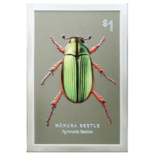 2026 NZ $1 Manuka Beetle 2oz Silver Proof Coin
