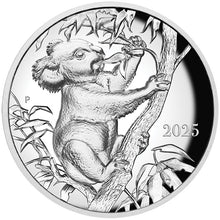 2025 $10 Koala by Beth Zaiken Ultra High Relief 10oz Silver Coin