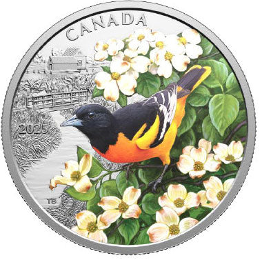 2025 Canada $20 Colourful Birds - Baltimore Oriole Silver Proof Coin