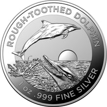 2023 $5 Rough Toothed Dolphin High Relief 1oz Silver Coin