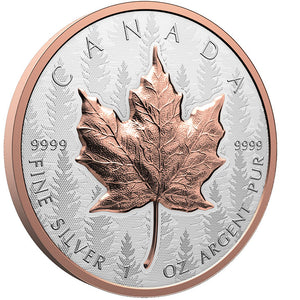 2025 Canada $20 Ultra High Relief Maple Silver Coin