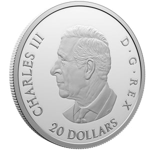 2025 Canada $20 VE Day 1oz Silver Coin