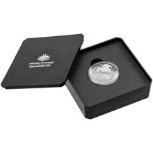 2026 $5 Lunar Horse Domed 1oz Silver Proof Coin