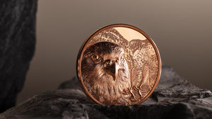 2023 Mongolia 250Tg Wild Mongolia - Falcon 50g Copper Coin