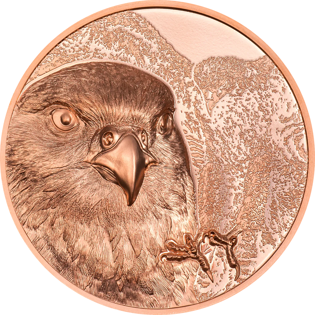 2023 Mongolia 250Tg Wild Mongolia – Falcon 50g Copper Coin