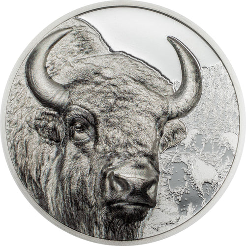 2025 Mongolia 500Tg Wild Mongolia - Bison 1oz Silver Coin