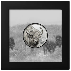 2025 Mongolia 500Tg Wild Mongolia - Bison 1oz Silver Coin