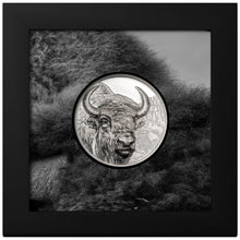 2025 Mongolia 2000Tg Wild Mongolia - Bison 3 oz Silver Coin