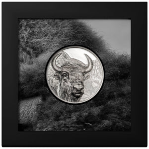 2025 Mongolia 2000Tg Wild Mongolia - Bison 3 oz Silver Coin